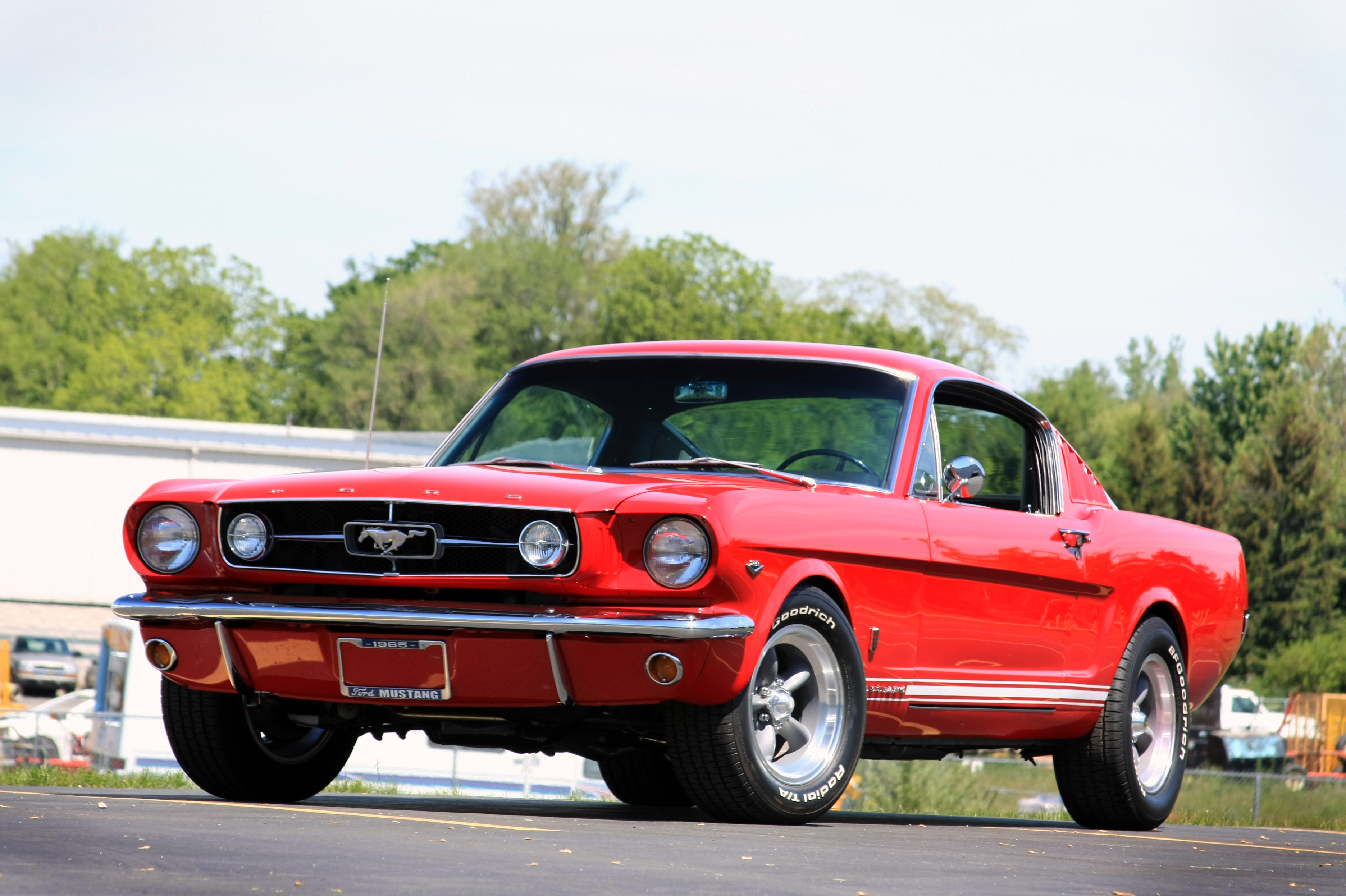1965 Ford Mustang Fastback Mustang Muscle Cars Ford Mustang