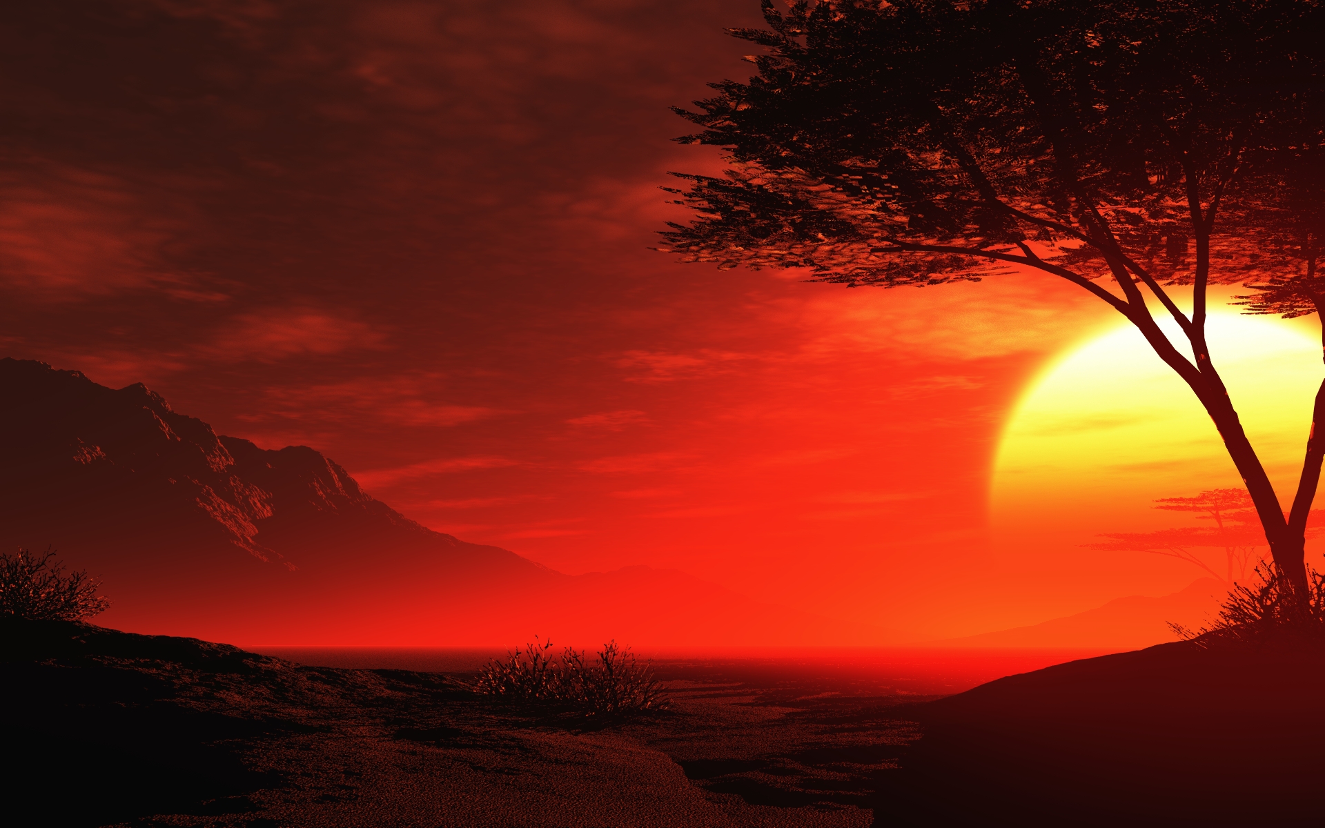 2448 Coucher De Soleil Fonds d�écran HD Arrièreplans