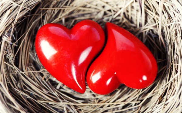 Holiday - valentine