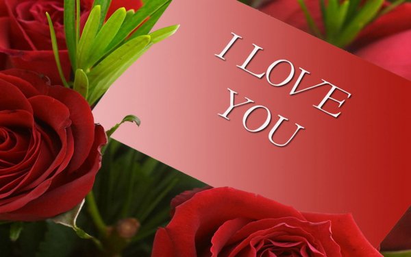Holiday - valentine