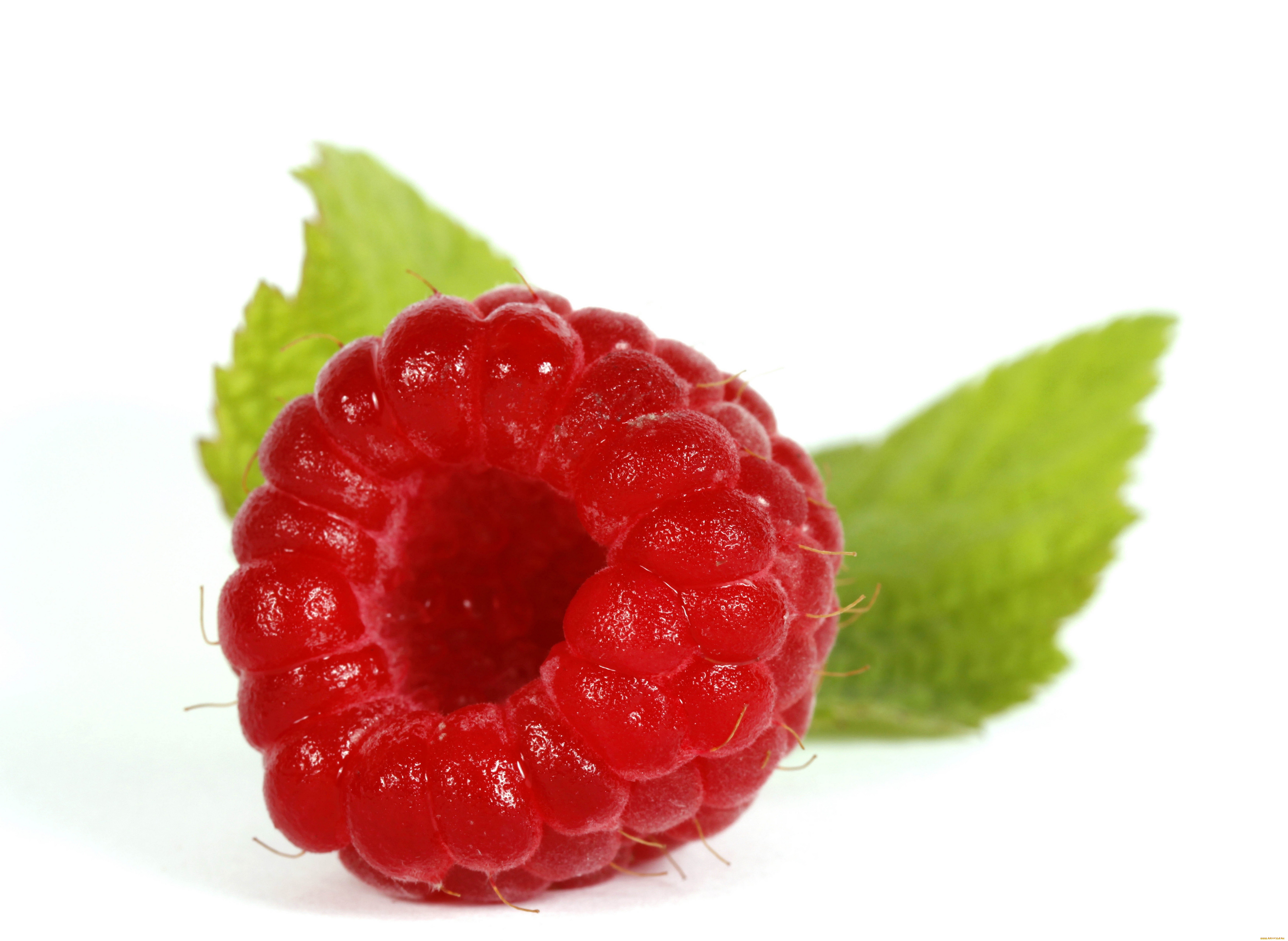 Food - Raspberry - Fruits Wallpaper