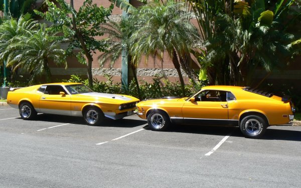 Vehicles - ford mustang Wallpapers and Backgrounds