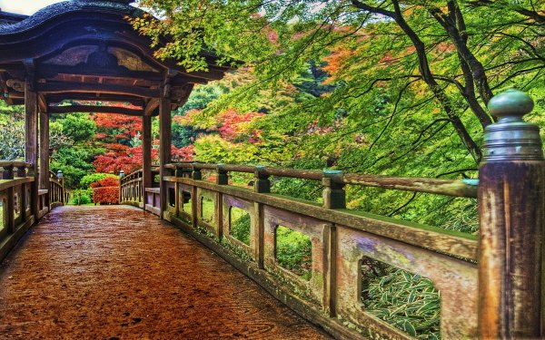 Man Made - bridge Wallpapers and Backgrounds