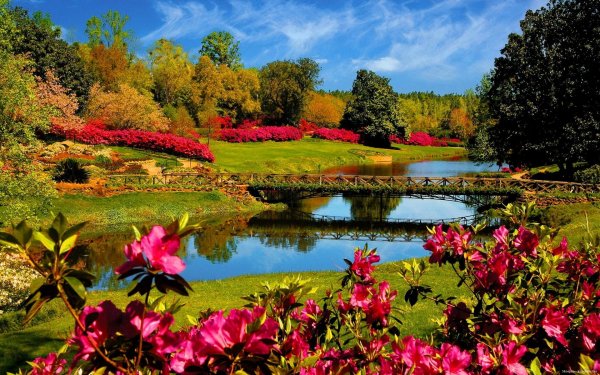 Photography - Park Wallpapers and Backgrounds