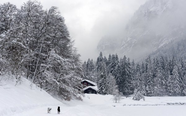 Man Made - cabin Wallpapers and Backgrounds