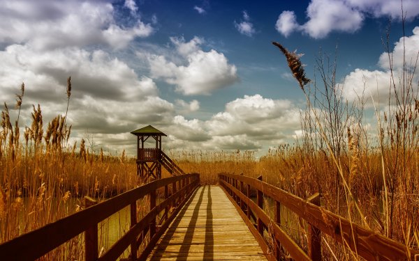 Man Made - bridge Wallpapers and Backgrounds