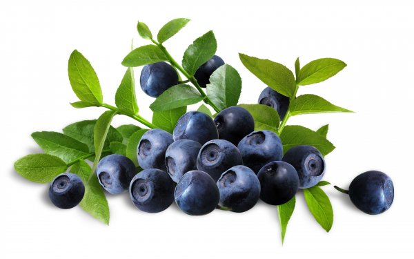 Food - blueberry Wallpapers and Backgrounds