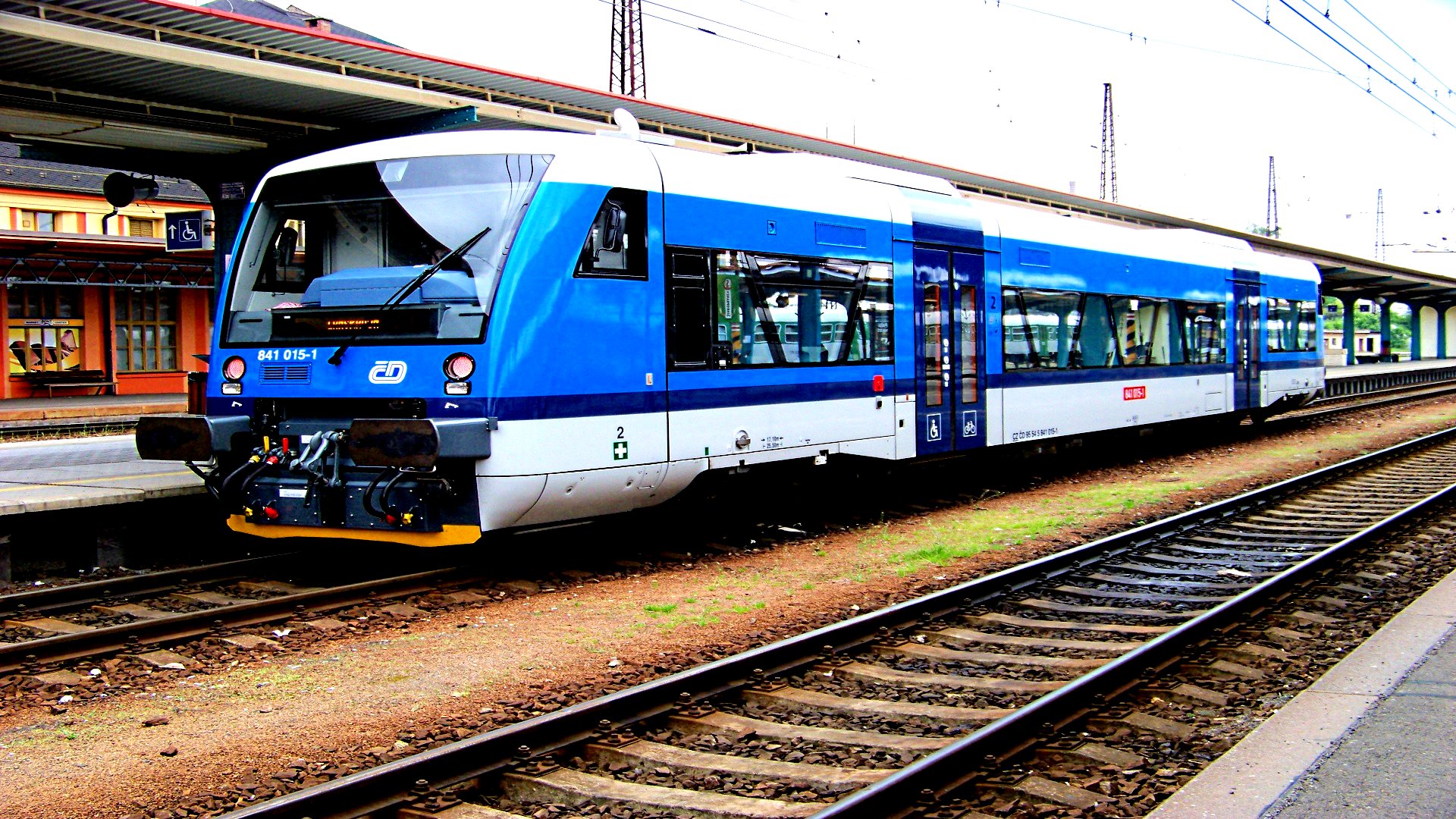 446109.jpg