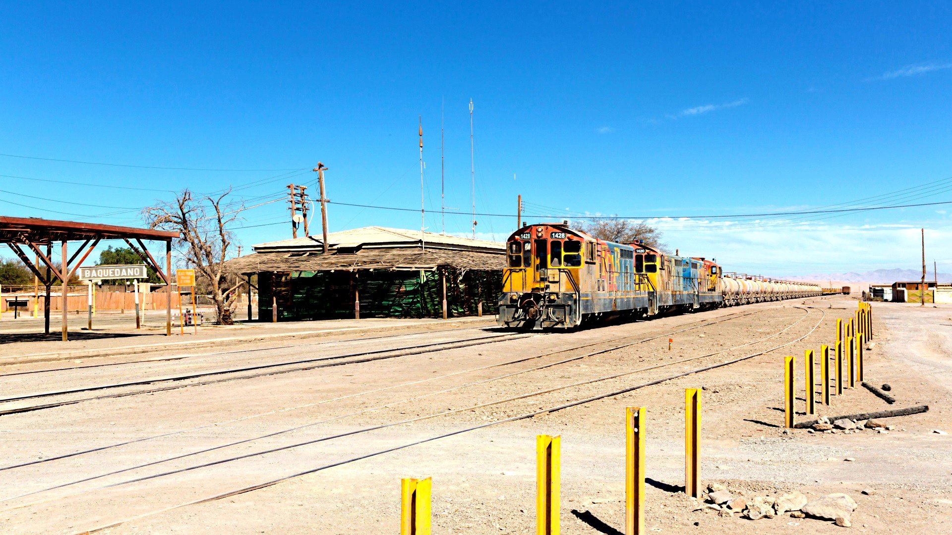 446145.jpg