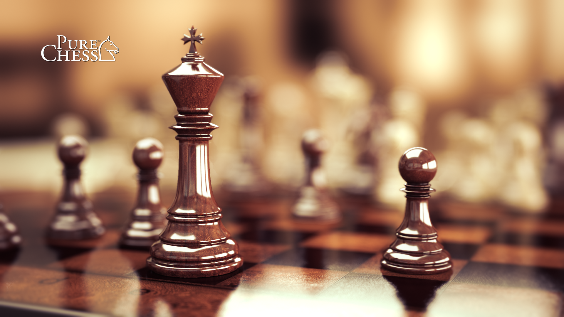 Chessbazaar Monthly Round-up Archives - chessbazaar Blog