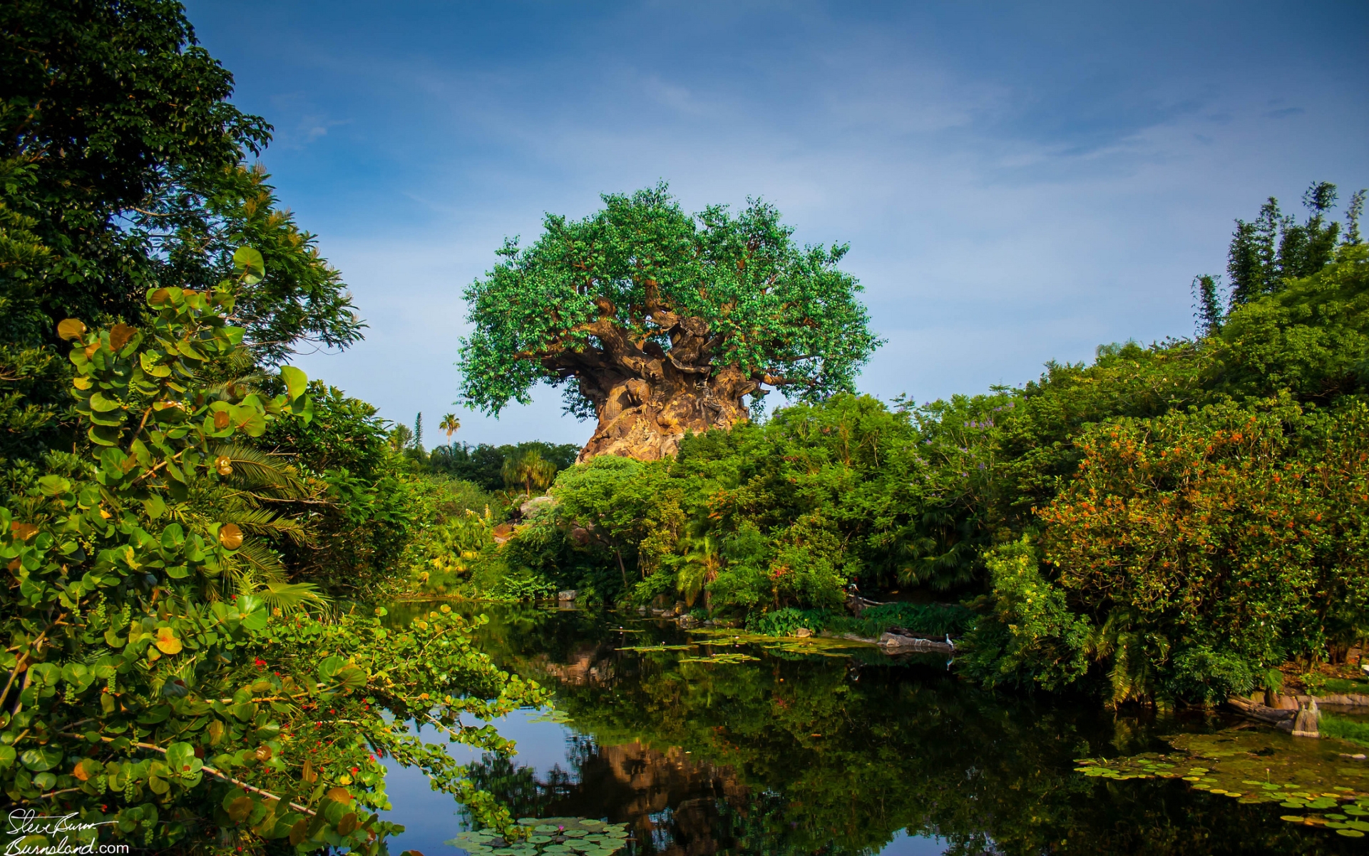 Tree of Life at Disney's Animal Kingdom Computer 