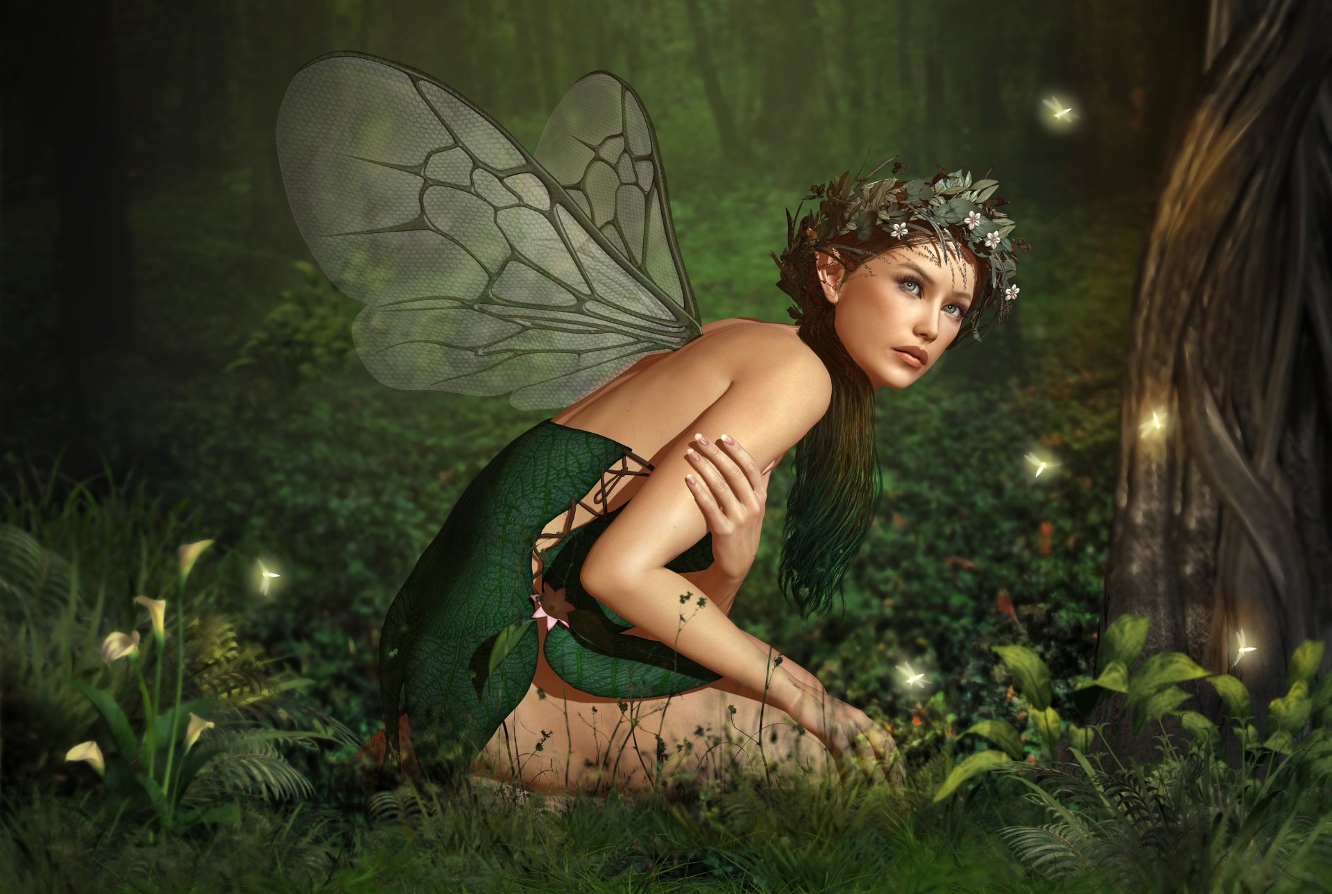 Forest Fairy