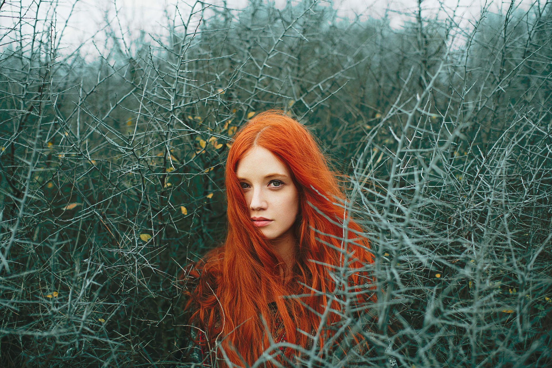 Длинные Рыжие Волосы Фото Девушек