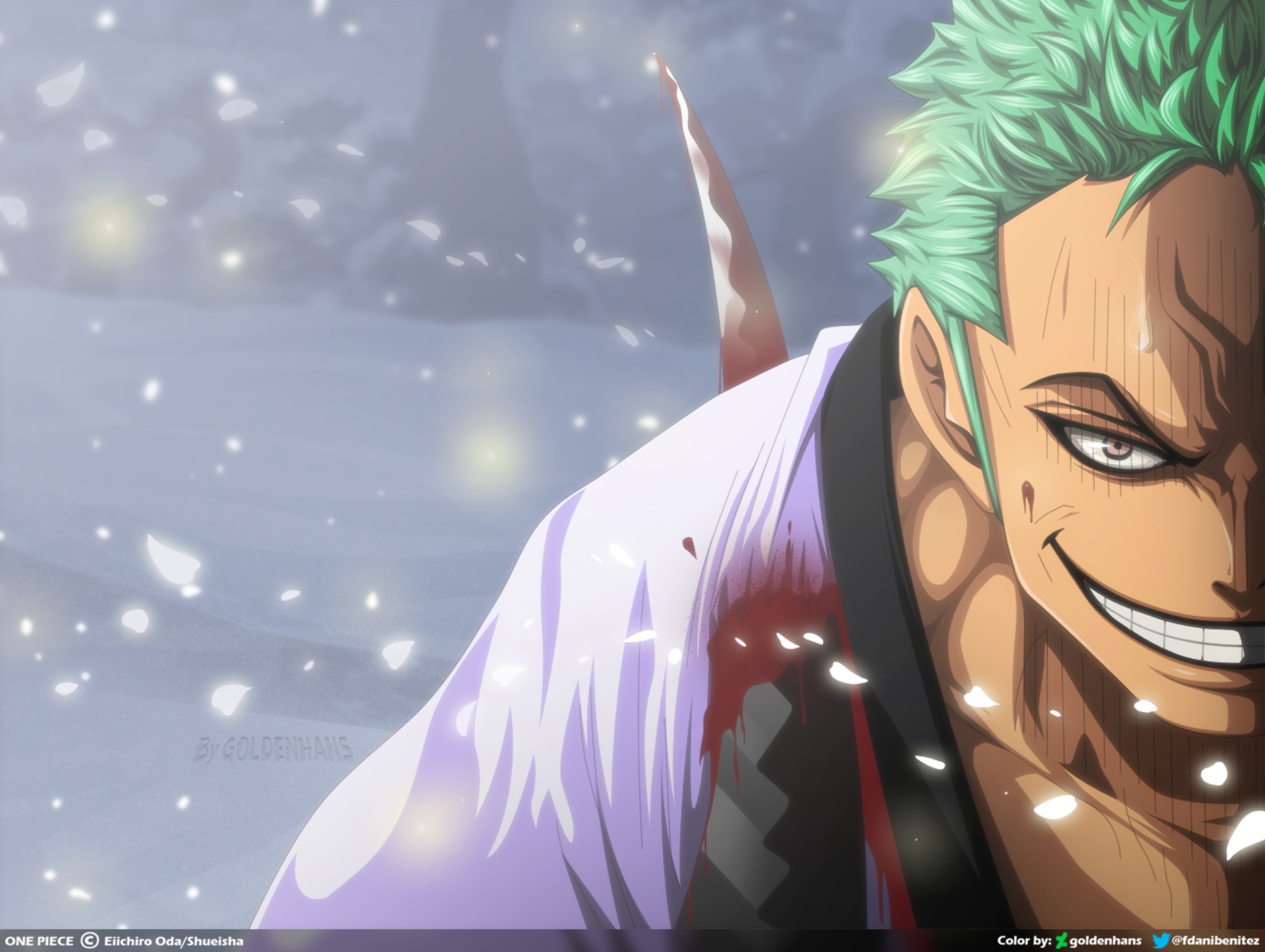 Roronoa Zoro HD Wallpaper: Anime Fierceness by goldenhans