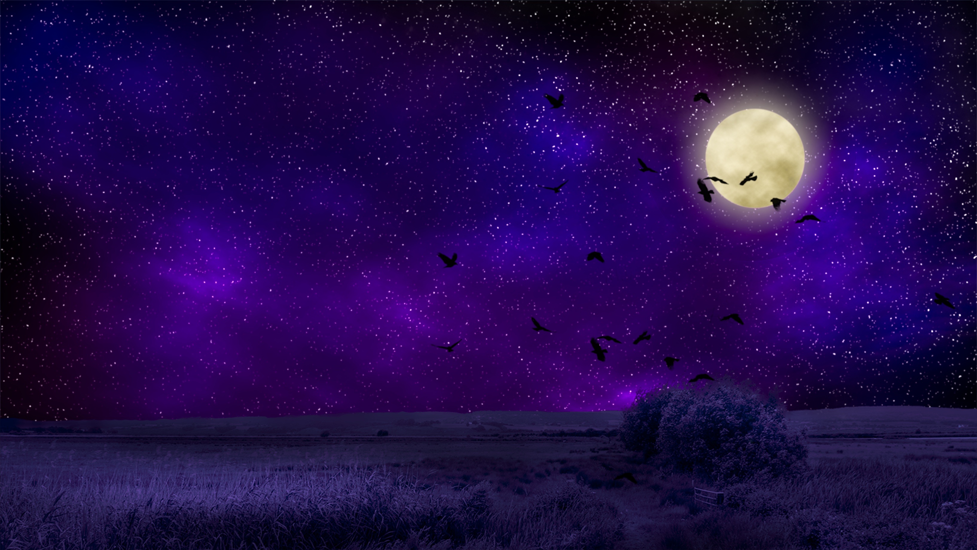 Full Moon on Purple Night HD Wallpaper | Background Image ...