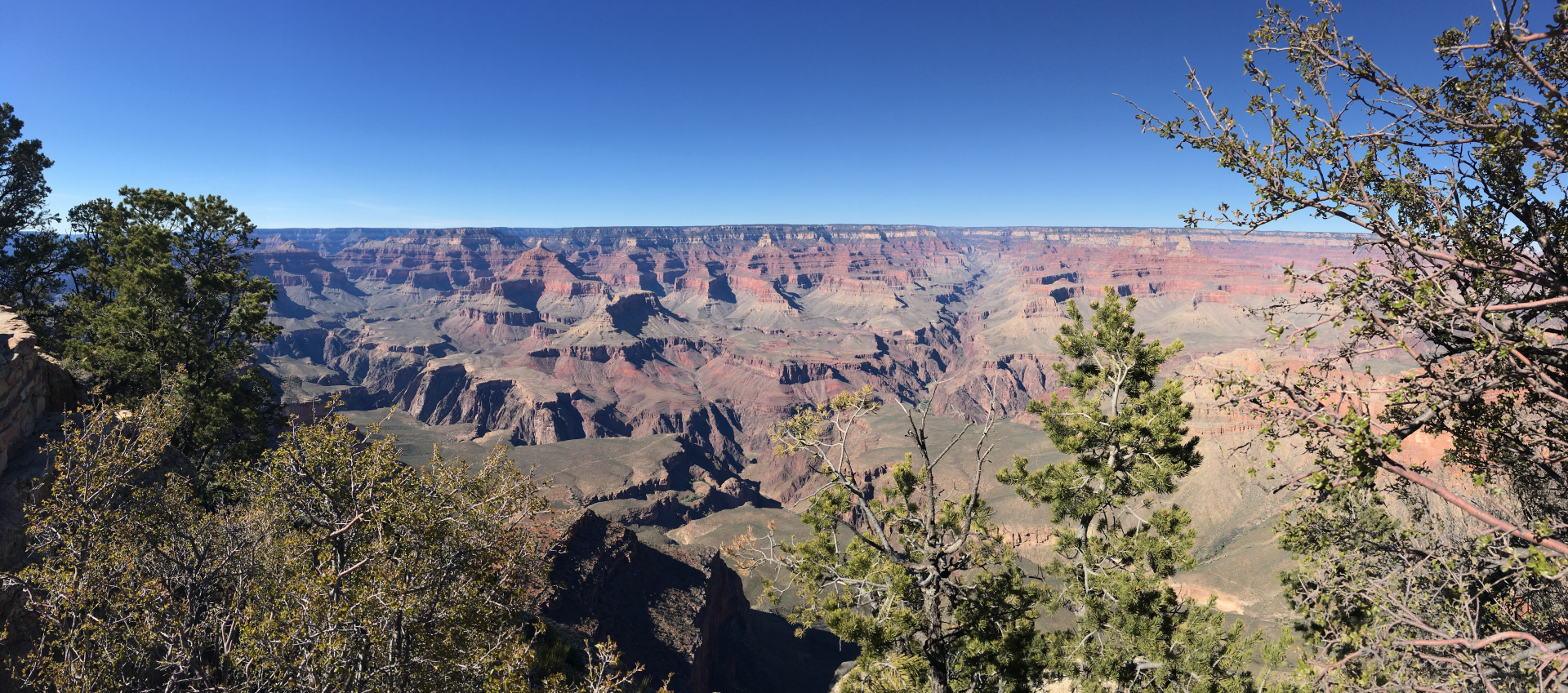 4K Ultra HD image of the Grand Canyon showcasing expansive rock formations and clear blue sky, framed by green trees in the foreground.