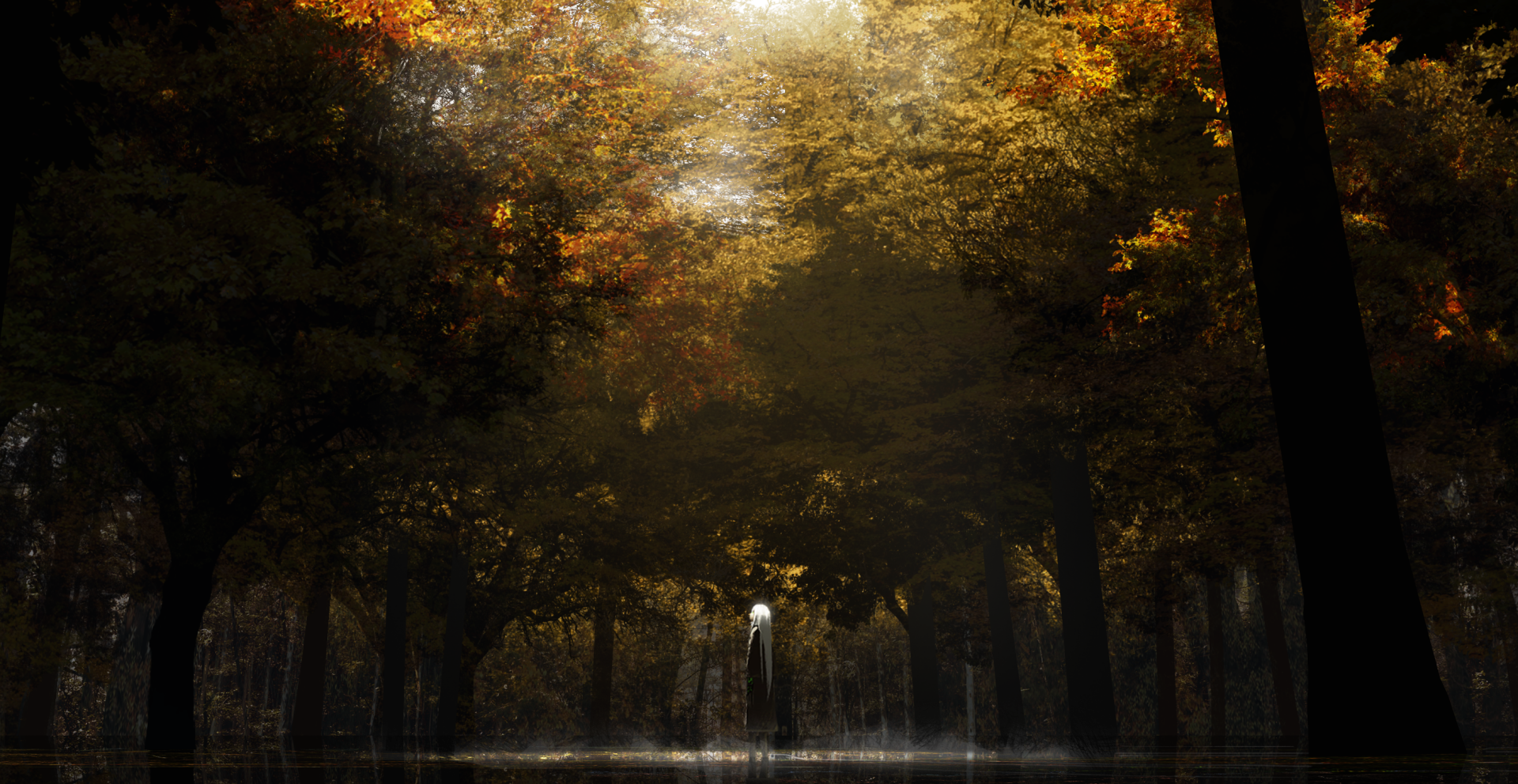 HD Anime landscape wallpaper featuring a serene forest with dappled sunlight filtering through the trees, casting a warm and mystical glow.