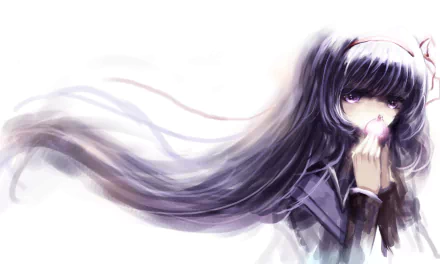 Homura Akemi Anime Puella Magi Madoka Magica HD Desktop Wallpaper | Background Image