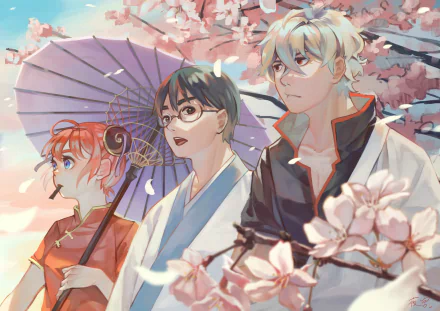 Shimura Shinpachi Kagura (Gintama) Gintoki Sakata Anime Gintama HD Desktop Wallpaper | Background Image