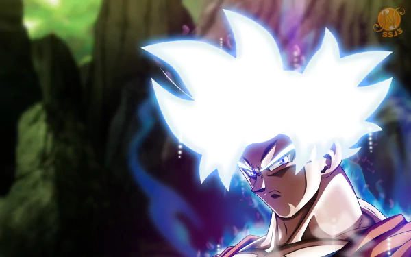  Goku Mastered Ultra Instinct by nourssj3