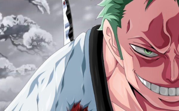 Anime One Piece Roronoa Zoro HD Wallpaper | Background Image