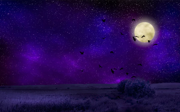  Full Moon on Purple Night