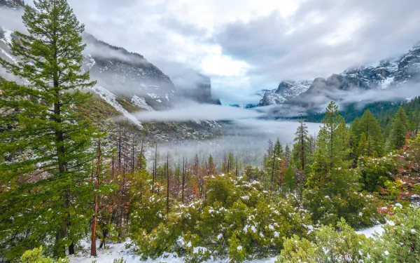 A breathtaking 8K Ultra HD landscape of Yosemite National Park featuring misty mountains, lush green trees, and a cloudy sky.