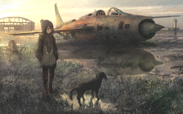 Anime Original Dog Airplane Short Hair Black Hair Brown Eyes Hat Wreck HD Wallpaper | Background Image