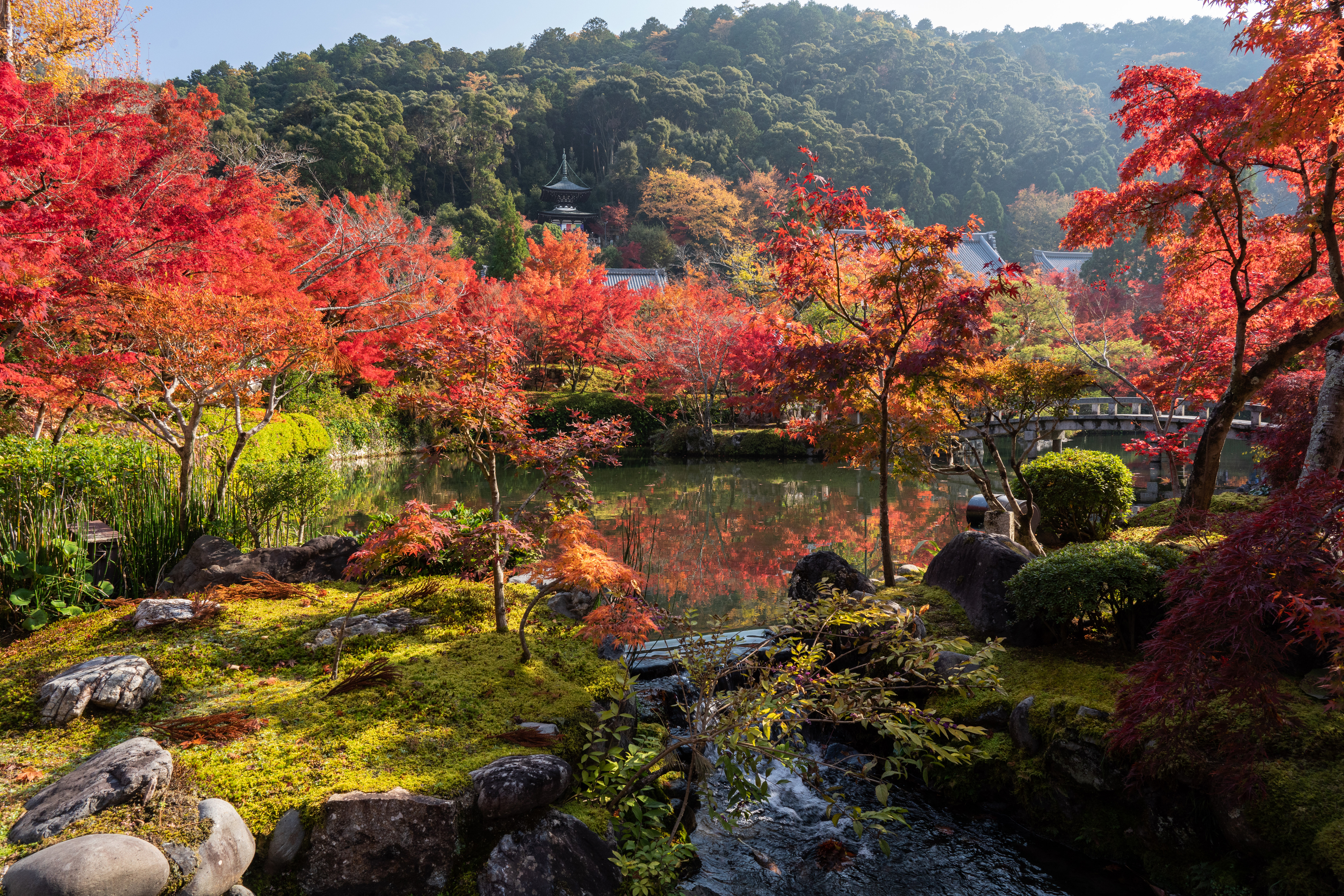 Man Made Japanese Garden HD Wallpaper | Background Image