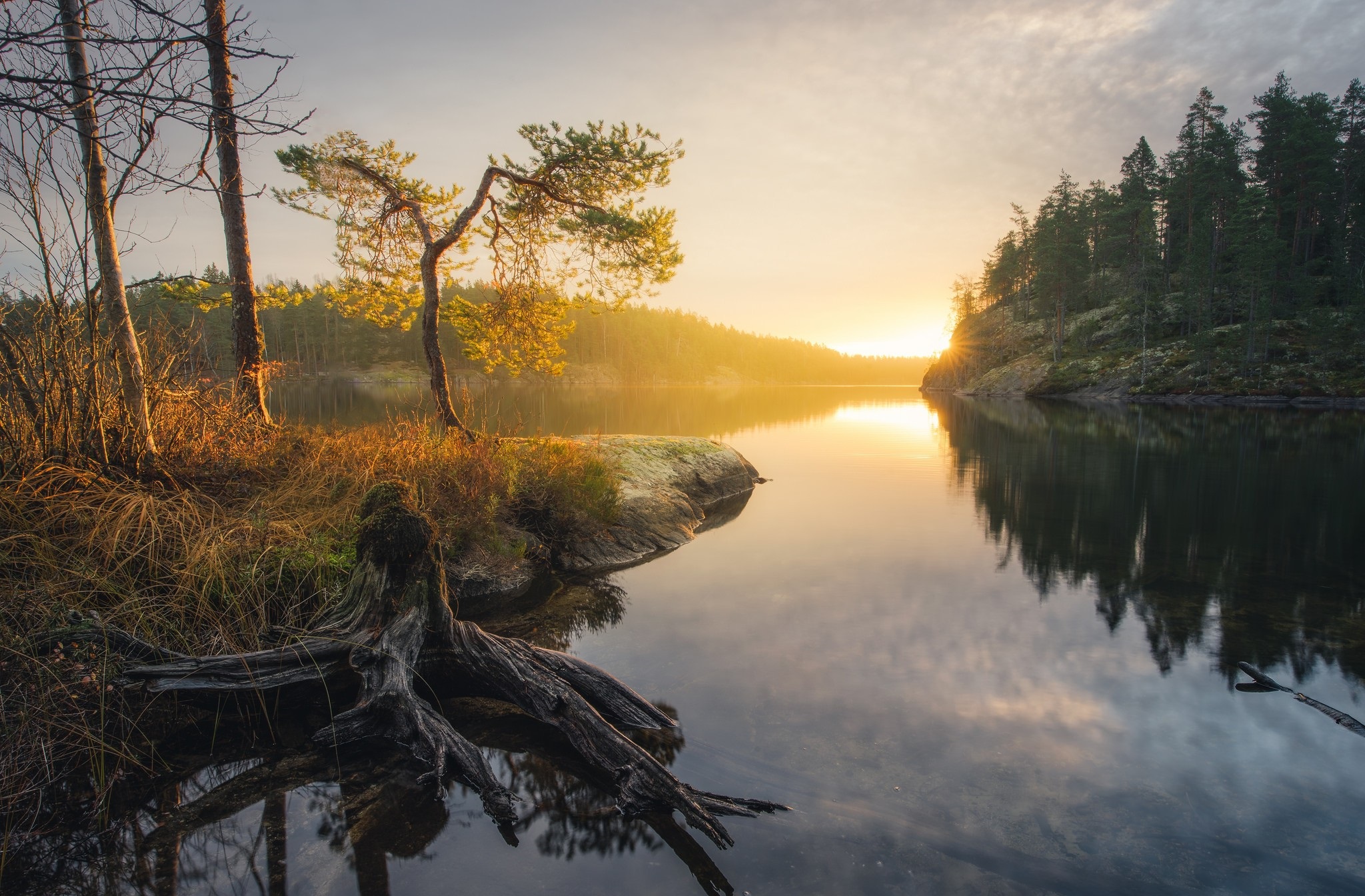 Download Sunrise Forest Tree Nature Lake HD Wallpaper