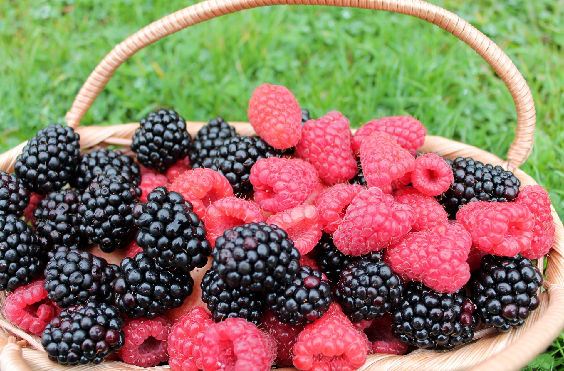 Food Berry HD Wallpaper | Background Image