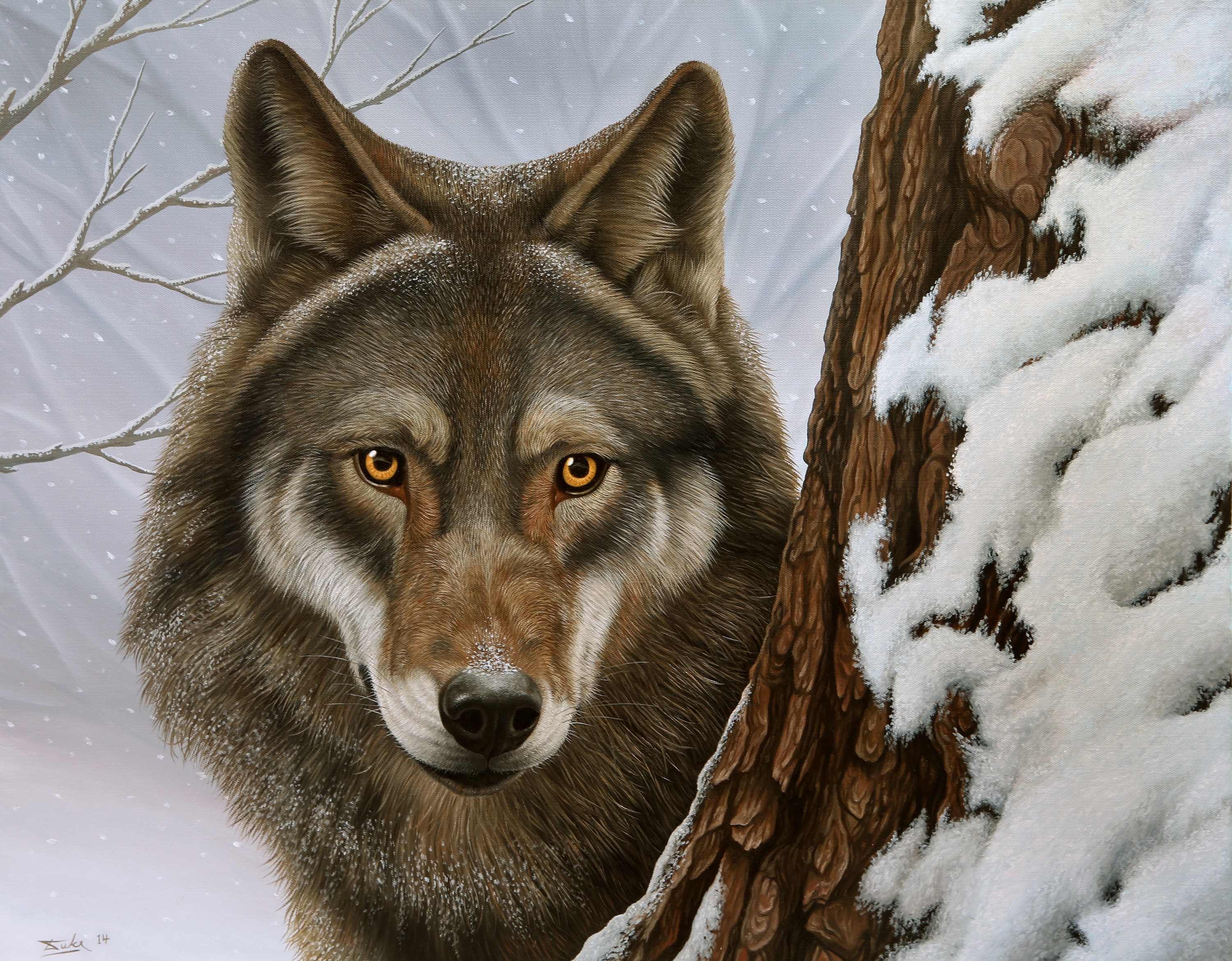 Wolf HD Wallpaper | Background Image | 3000x2340