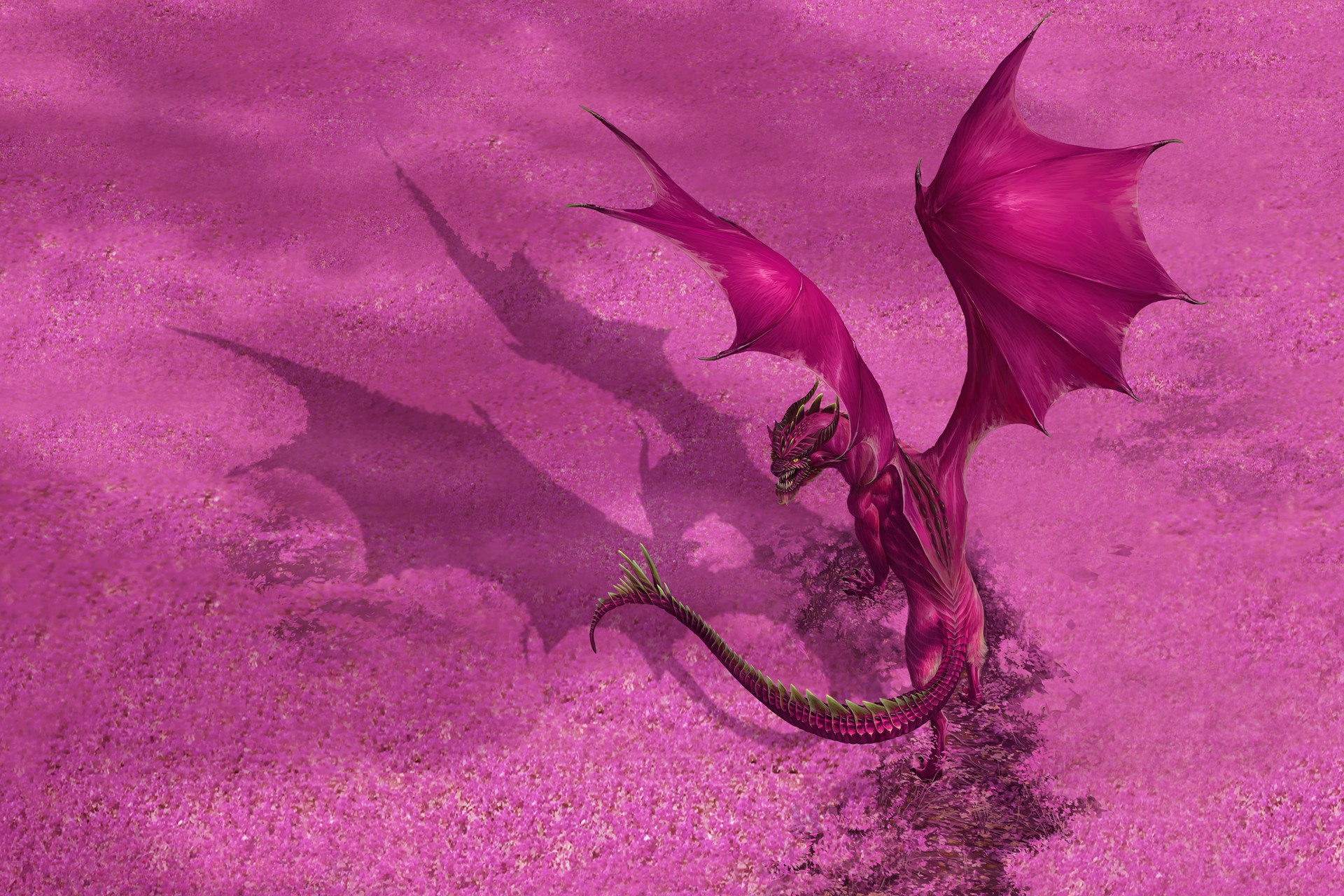 Fantasy Dragon HD Wallpaper by Godfrey Escota