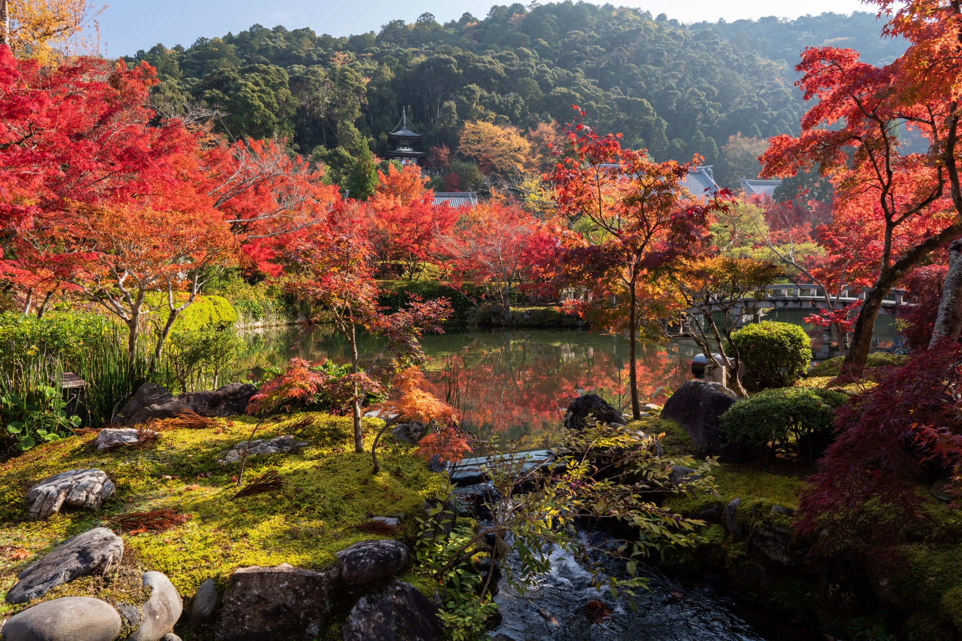Download Nature Pond Fall Garden Man Made Japanese Garden 4k Ultra HD Wallpaper