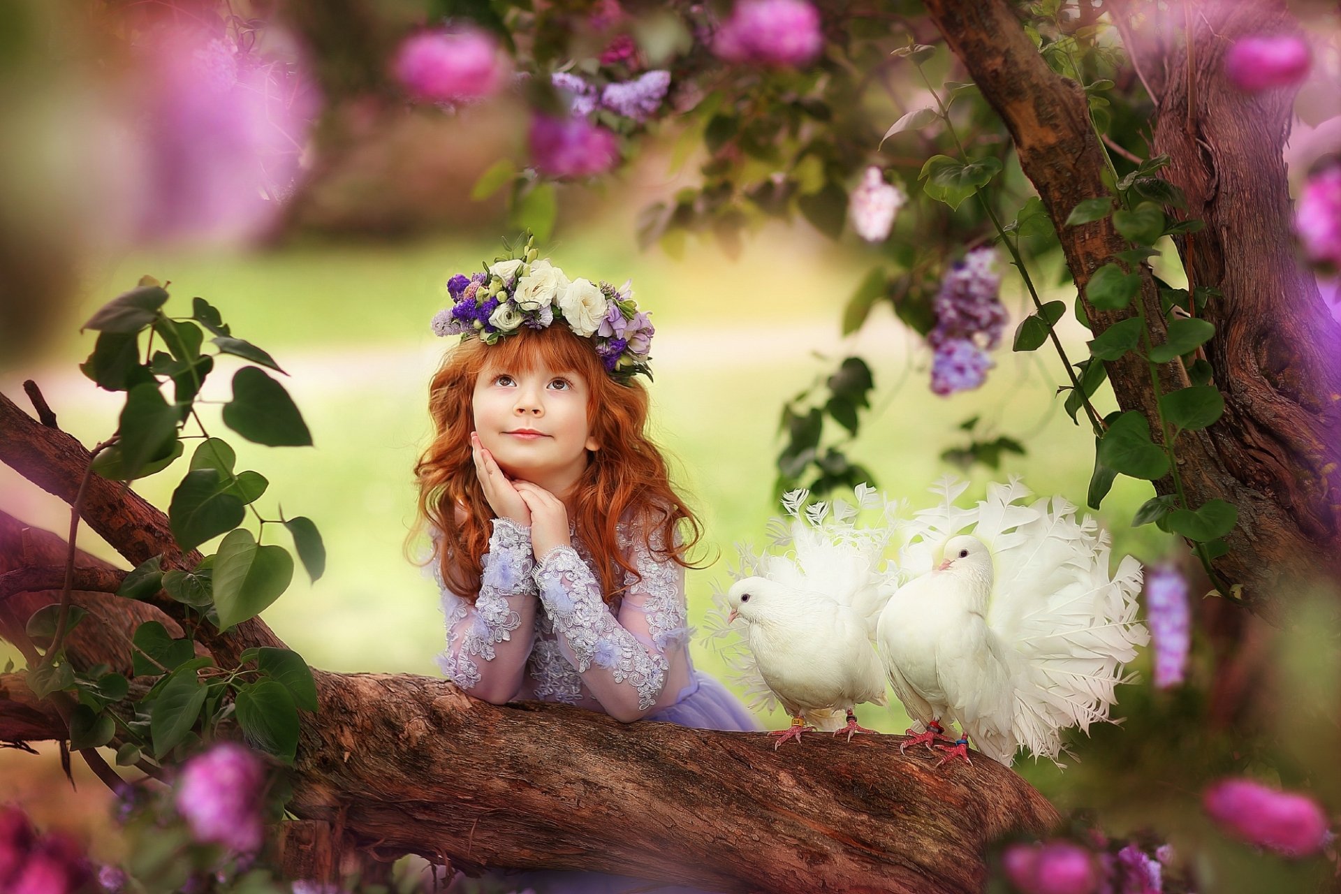 Wallpapers ID:1018243
