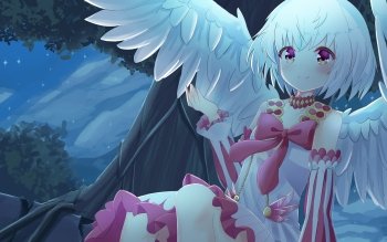 17 Fitoria The Rising Of The Shield Hero Hd Wallpapers Background Images Wallpaper Abyss