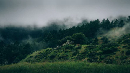  Fog over woody hills by Forrest Cavale