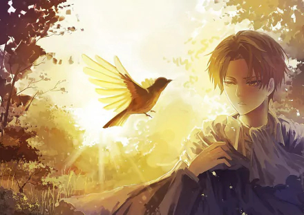 HD anime desktop wallpaper featuring Levi Ackerman from Attack on Titan, with a bird in flight illuminated by warm, golden light in a serene outdoor setting.