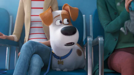 movie The Secret Life of Pets 2 HD Desktop Wallpaper | Background Image