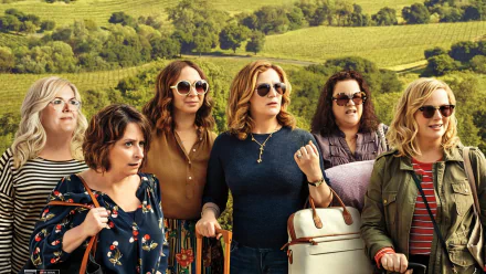 Emily Spivey Paula Pell Ana Gasteyer Rachel Dratch Maya Rudolph Amy Poehler movie Wine Country HD Desktop Wallpaper | Background Image