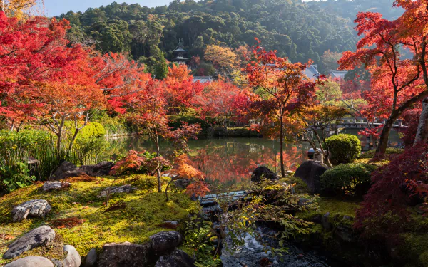 nature pond fall garden man made japanese garden HD Desktop Wallpaper | Background Image