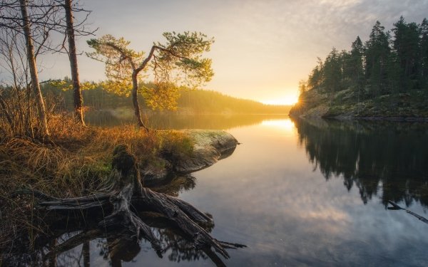 Earth Lake Lakes Tree Forest Sunrise HD Wallpaper | Background Image
