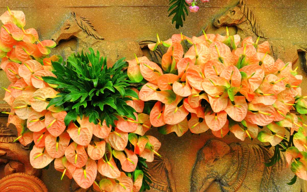 flower nature anthurium HD Desktop Wallpaper | Background Image