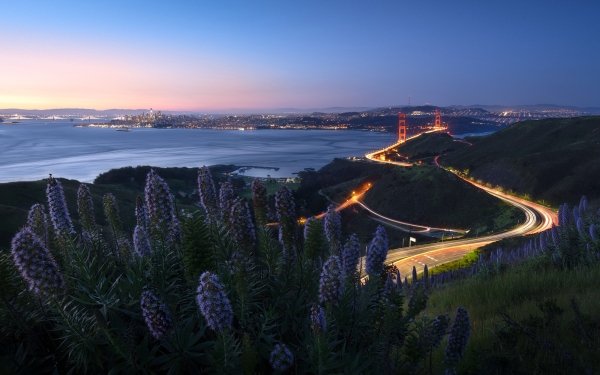 Man Made Golden Gate Bridges Time-Lapse Night Landscape Horizon HD Wallpaper | Background Image