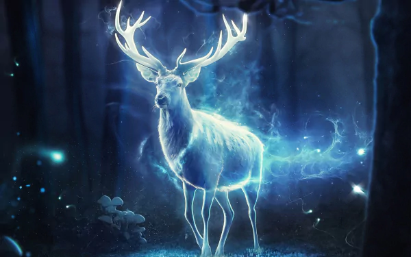 spirit magic fantasy deer forest spirit HD Desktop Wallpaper | Background Image