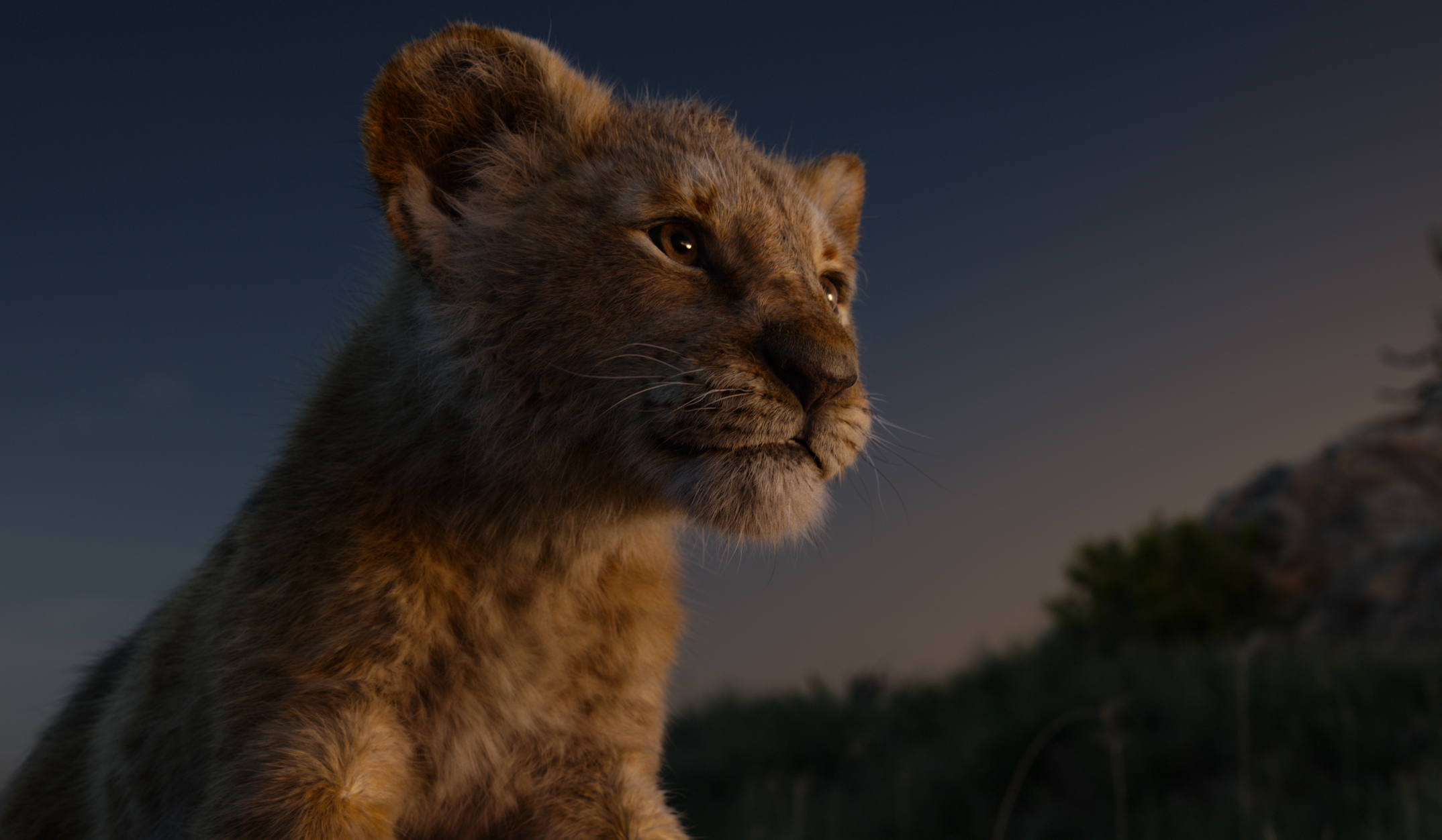 Movie The Lion King (2019) HD Wallpaper | Background Image