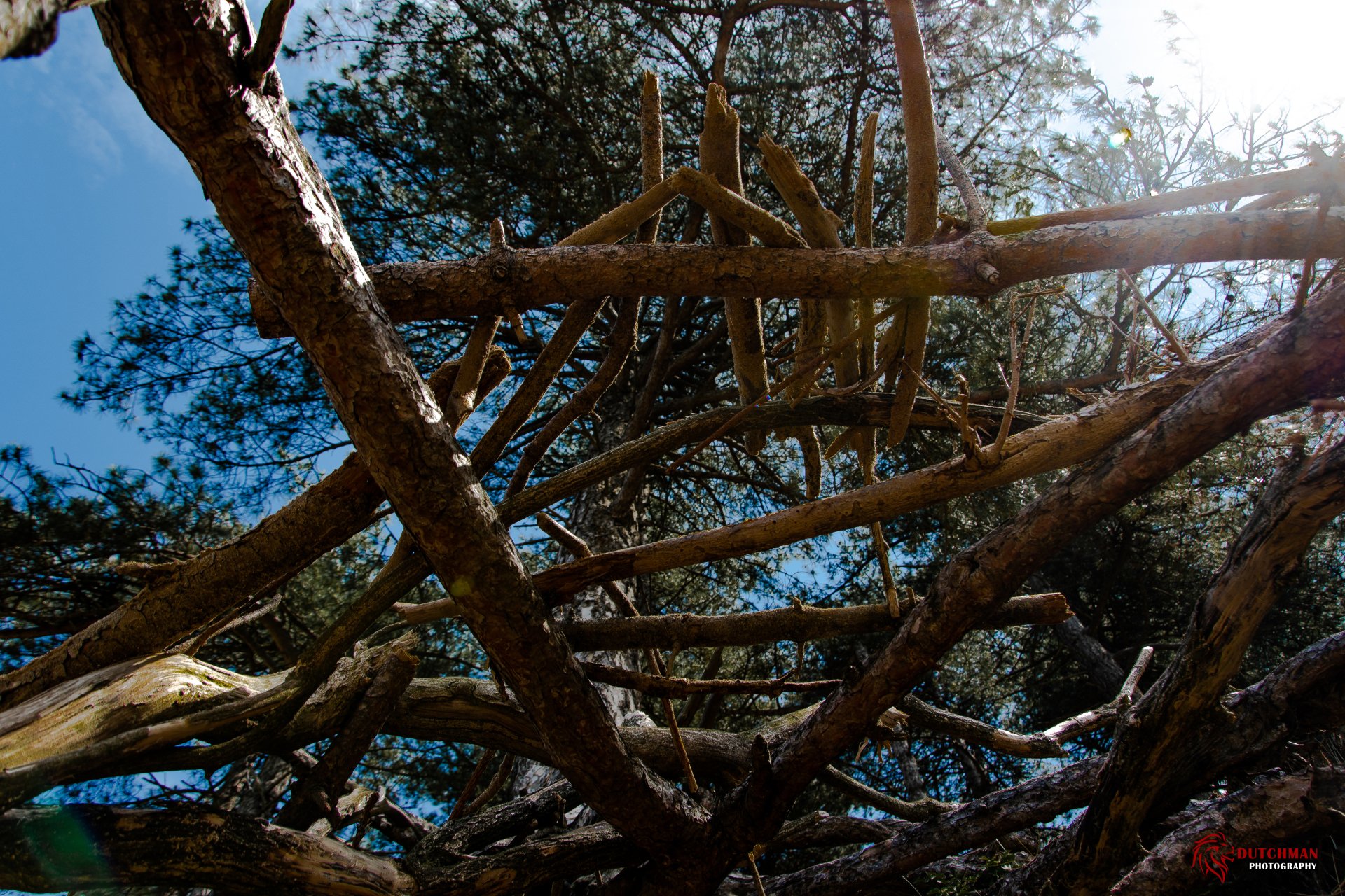 Tall by CrashingDutchman