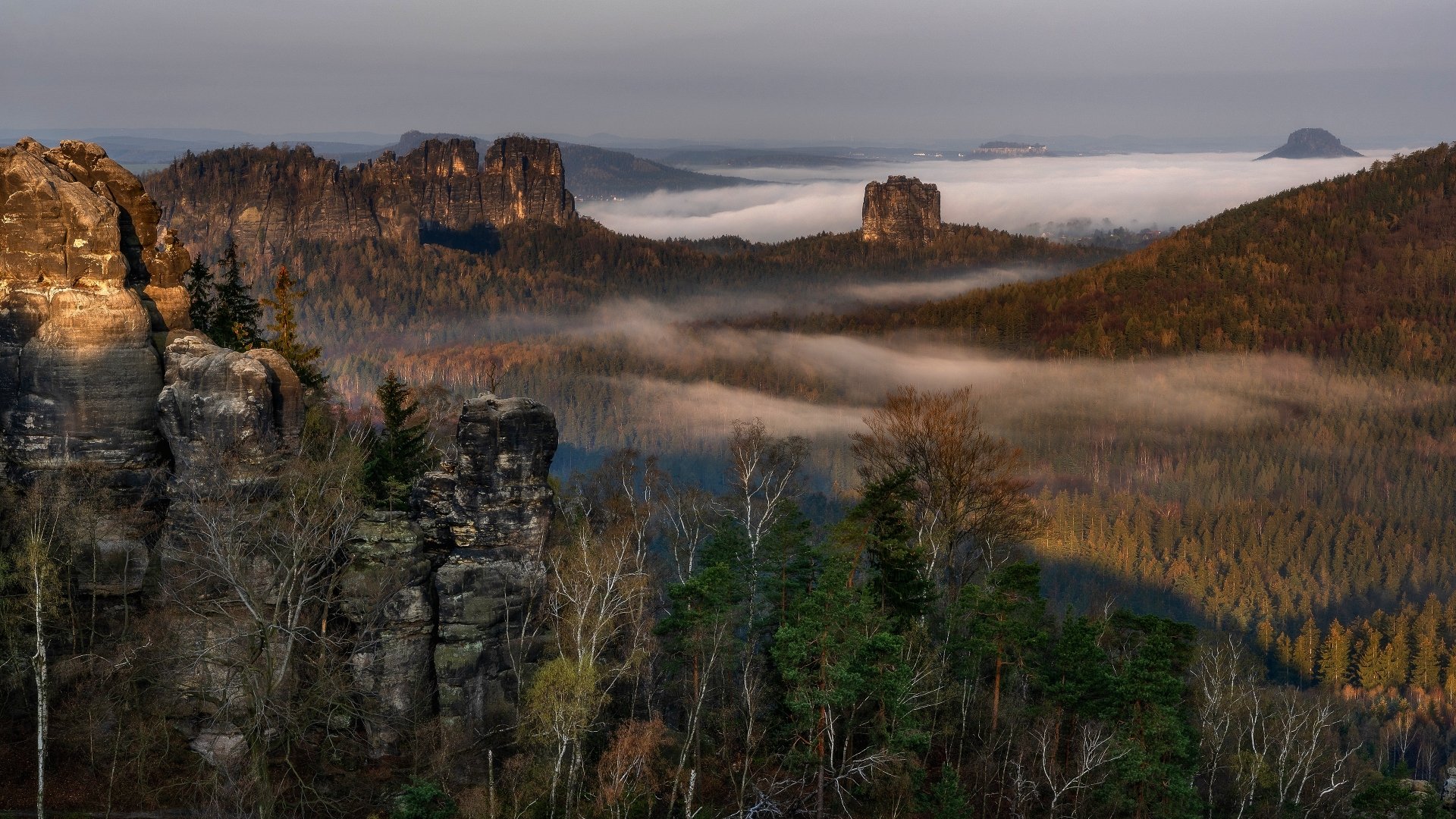 Fog weaves through the forested cliffs of the Elbe Sandstone Mountains in Germany, captured in a stunning 4K Ultra HD landscape wallpaper.