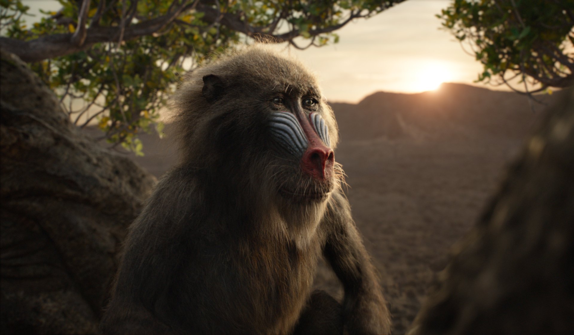 Download Rafiki (The Lion King) Movie The Lion King (2019) HD Wallpaper