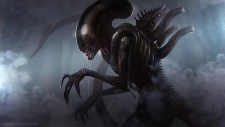 HD Sci-Fi desktop wallpaper depicting a menacing xenomorph alien emerging from mist in a dark, eerie environment.